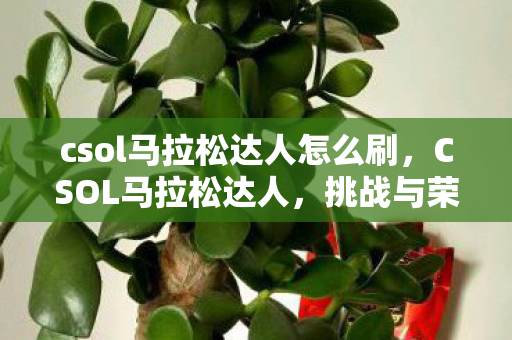 csol马拉松达人怎么刷，CSOL马拉松达人，挑战与荣耀的征途