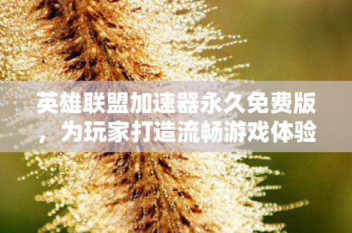 英雄联盟加速器永久免费版，为玩家打造流畅游戏体验