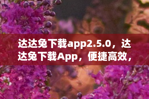 达达兔下载app2.5.0，达达兔下载App，便捷高效，尽享海量资源