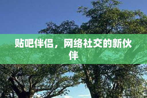 贴吧伴侣，网络社交的新伙伴