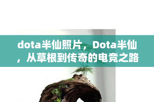 dota半仙照片，Dota半仙，从草根到传奇的电竞之路