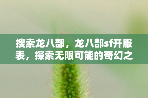 搜索龙八部，龙八部sf开服表，探索无限可能的奇幻之旅