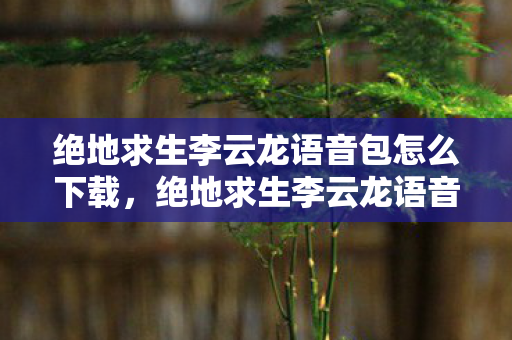 绝地求生李云龙语音包怎么下载，绝地求生李云龙语音包，经典台词再现，游戏氛围再升级