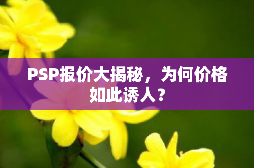 PSP报价大揭秘，为何价格如此诱人？
