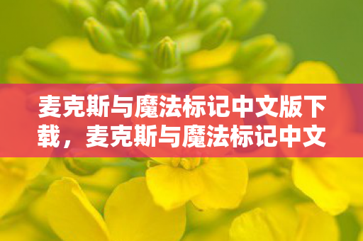 麦克斯与魔法标记中文版下载，麦克斯与魔法标记中文版，探索奇幻世界的奇妙之旅