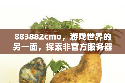 883882cmo，游戏世界的另一面，探索非官方服务器的独特魅力
