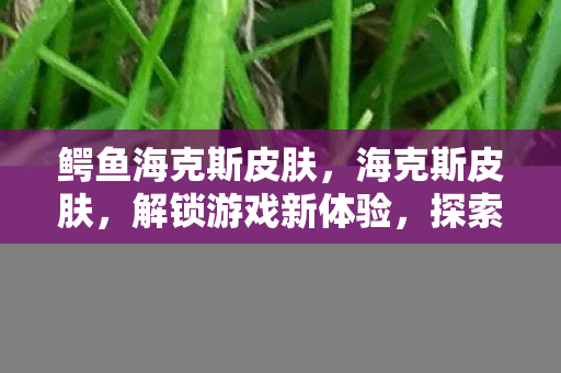 鳄鱼海克斯皮肤，海克斯皮肤，解锁游戏新体验，探索无限可能