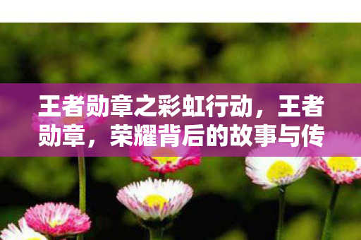 王者勋章之彩虹行动，王者勋章，荣耀背后的故事与传承