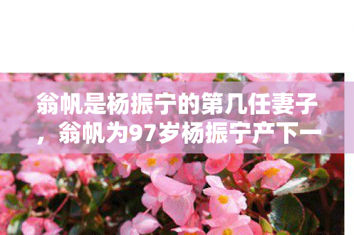 翁帆是杨振宁的第几任妻子，翁帆为97岁杨振宁产下一子