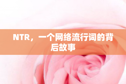 NTR，一个网络流行词的背后故事