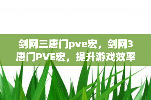 剑网三唐门pve宏，剑网3唐门PVE宏，提升游戏效率与体验的关键