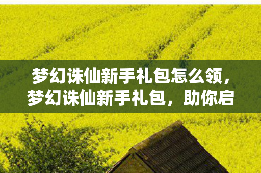 梦幻诛仙新手礼包怎么领，梦幻诛仙新手礼包，助你启程，畅游奇幻世界