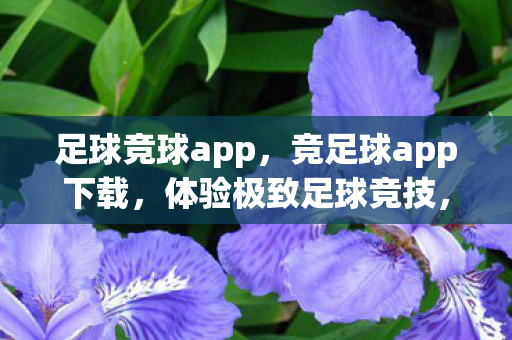 足球竞球app,竞足球app下载,体验极致足球竞技,尽在指尖 足球竞球app,竞足球app下载,体验极致足球竞技,尽在指尖