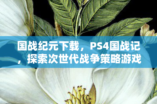 国战纪元下载，PS4国战记，探索次世代战争策略游戏的魅力