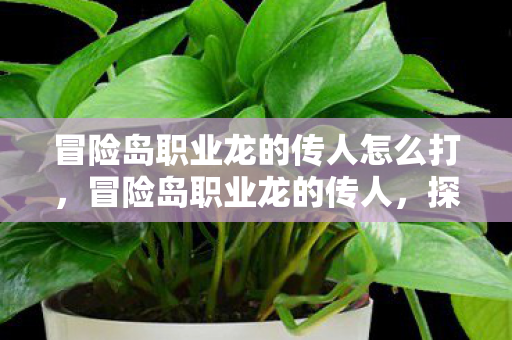 冒险岛职业龙的传人怎么打，冒险岛职业龙的传人，探寻龙脉传承的奥秘