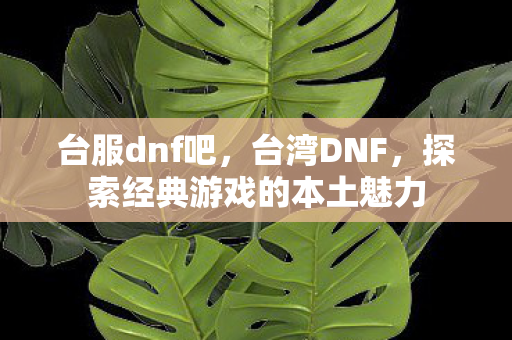 台服dnf吧，台湾DNF，探索经典游戏的本土魅力