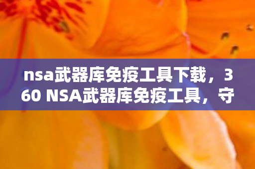 nsa武器库免疫工具下载，360 NSA武器库免疫工具，守护数字安全的强大盾牌