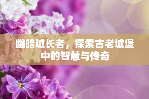 幽暗城长者，探索古老城堡中的智慧与传奇