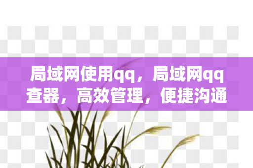 局域网使用qq，局域网qq查器，高效管理，便捷沟通