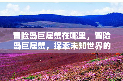 冒险岛巨居蟹在哪里，冒险岛巨居蟹，探索未知世界的神秘生物