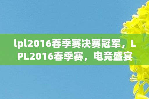 lpl2016春季赛决赛冠军，LPL2016春季赛，电竞盛宴的辉煌与荣耀