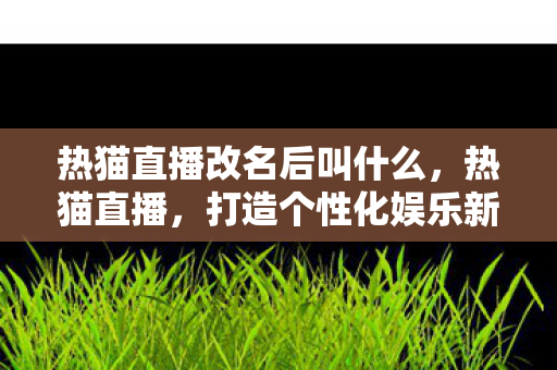 热猫直播改名后叫什么，热猫直播，打造个性化娱乐新体验