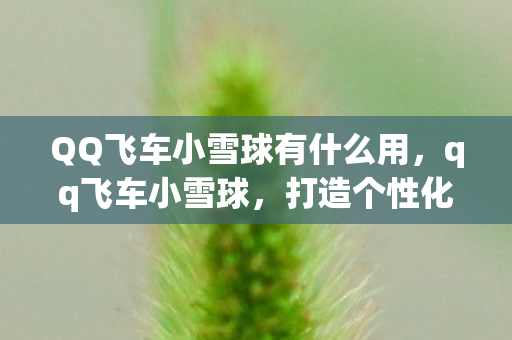 QQ飞车小雪球有什么用，qq飞车小雪球，打造个性化赛道，畅享极速漂移