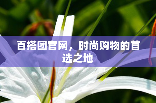 百搭团官网,时尚购物的首选之地 百搭团官网,时尚购物的首选之地