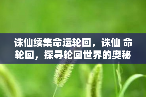 诛仙续集命运轮回，诛仙 命轮回，探寻轮回世界的奥秘