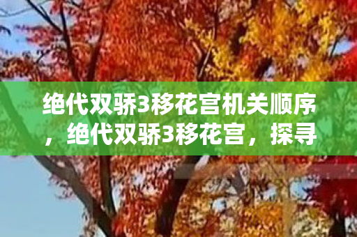 绝代双骄3移花宫机关顺序，绝代双骄3移花宫，探寻江湖中的神秘仙境