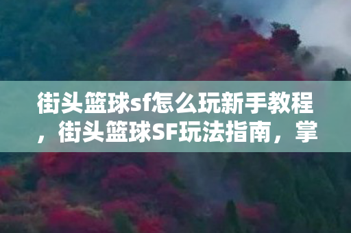 街头篮球sf怎么玩新手教程，街头篮球SF玩法指南，掌握核心技巧，提升游戏水平
