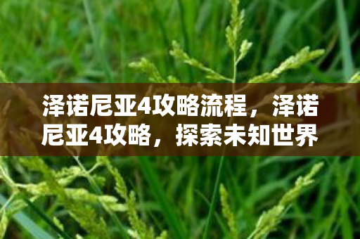 泽诺尼亚4攻略流程,泽诺尼亚4攻略,探索未知世界的勇者之旅 泽诺尼亚4攻略流程,泽诺尼亚4攻略,探索未知世界的勇者之旅