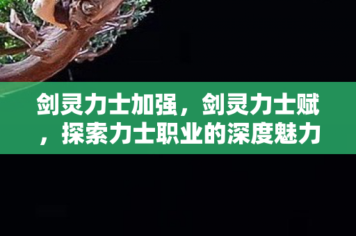 剑灵力士加强,剑灵力士赋,探索力士职业的深度魅力 剑灵力士加强,剑灵力士赋,探索力士职业的深度魅力