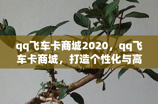 qq飞车卡商城2020，qq飞车卡商城，打造个性化与高效体验