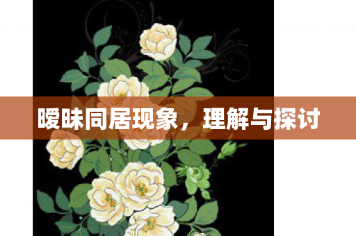 暧昧同居现象,理解与探讨 暧昧同居现象,理解与探讨