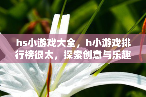 hs小游戏大全，h小游戏排行榜很太，探索创意与乐趣的无限可能