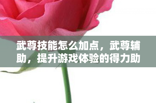 武尊技能怎么加点，武尊辅助，提升游戏体验的得力助手
