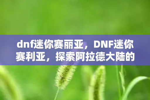 dnf迷你赛丽亚,DNF迷你赛利亚,探索阿拉德大陆的奇妙之旅 dnf迷你赛丽亚,DNF迷你赛利亚,探索阿拉德大陆的奇妙之旅
