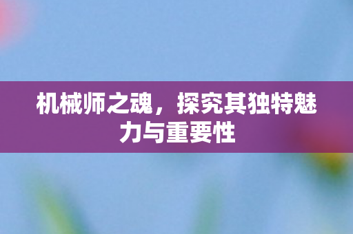 机械师之魂，探究其独特魅力与重要性
