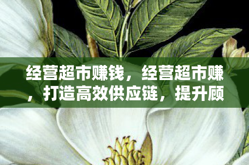 经营超市赚钱,经营超市赚,打造高效供应链,提升顾客满意度 经营超市赚钱,经营超市赚,打造高效供应链,提升顾客满意度