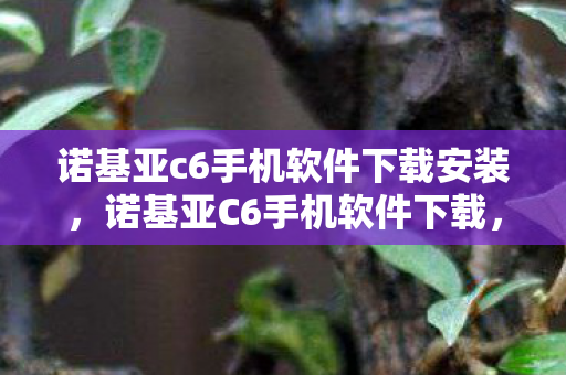 诺基亚c6手机软件下载安装，诺基亚C6手机软件下载，丰富应用，便捷体验