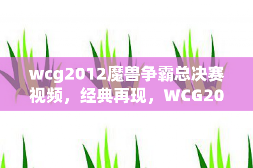 wcg2012魔兽争霸总决赛视频，经典再现，WCG2012魔兽争霸世界总决赛的辉煌时刻