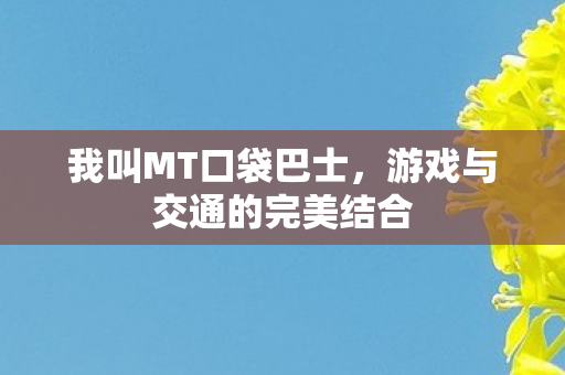 我叫MT口袋巴士，游戏与交通的完美结合