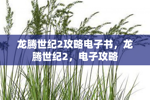 龙腾世纪2攻略电子书，龙腾世纪2，电子攻略
