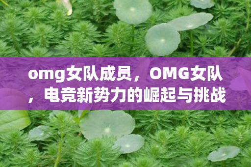 omg女队成员，OMG女队，电竞新势力的崛起与挑战