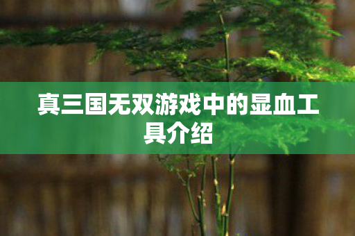 真三国无双游戏中的显血工具介绍