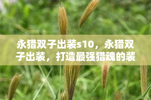 永猎双子出装s10，永猎双子出装，打造最强猎魂的装备指南