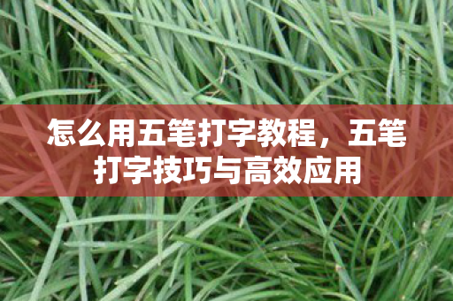 怎么用五笔打字教程，五笔打字技巧与高效应用