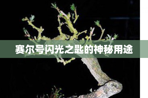 赛尔号闪光之匙的神秘用途