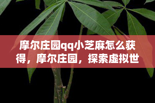 摩尔庄园qq小芝麻怎么获得,摩尔庄园,探索虚拟世界的奇妙之旅 摩尔庄园qq小芝麻怎么获得,摩尔庄园,探索虚拟世界的奇妙之旅